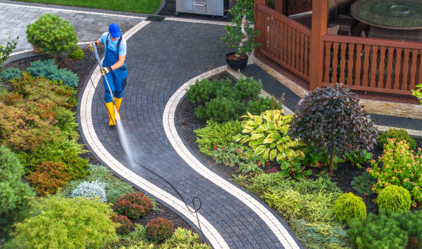 Best Affordable Power Washing  in Whitehouse, OH